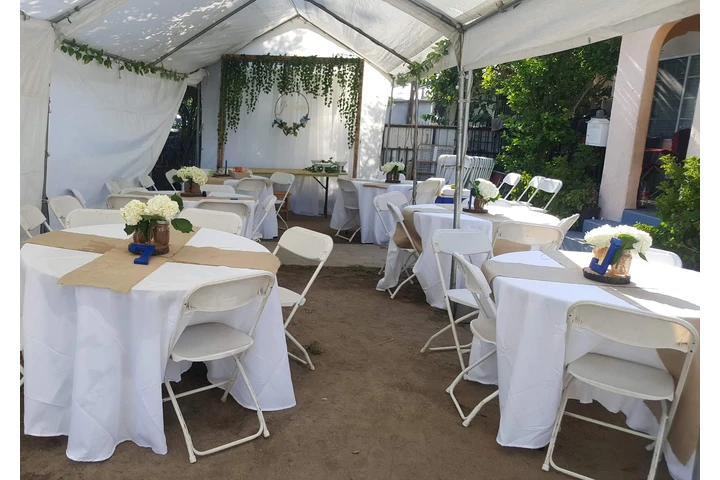 Zacatecas Carpas image 1