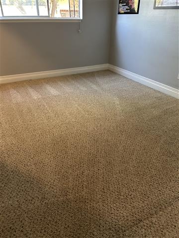 Carpet cleaning (562)234-7294 image 3