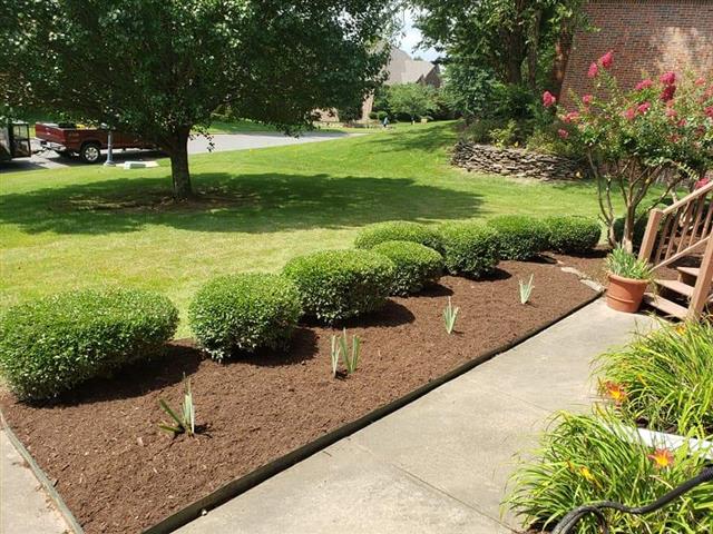 Victors Lawn and landscaping image 3