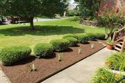 Victors Lawn and landscaping thumbnail 3