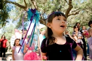 A Faery Hunt Enchantment thumbnail