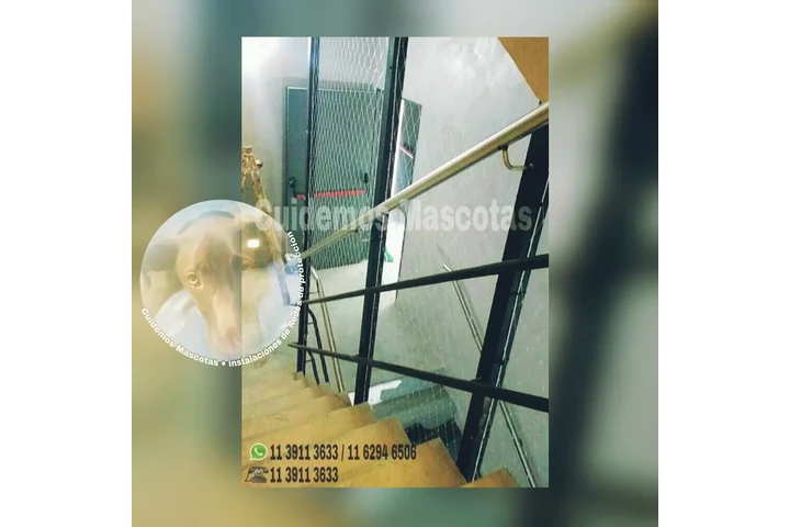 Redes de Protección Cuidemos image 8