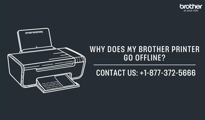 Why Brother Printer Go Offline image 1