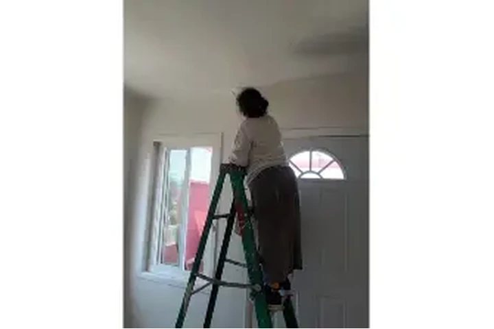 Rosales painters image 2