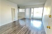 1bd 1ba apartment for rent