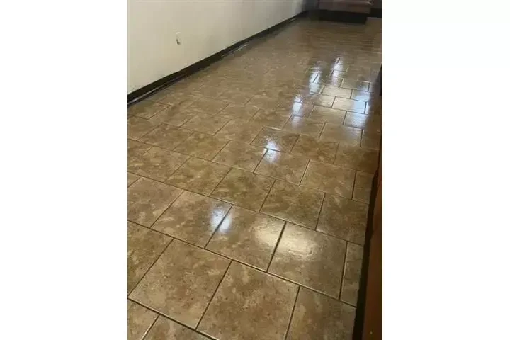 CARPET CLEAN LA MEJOR LIMPIEZA image 6
