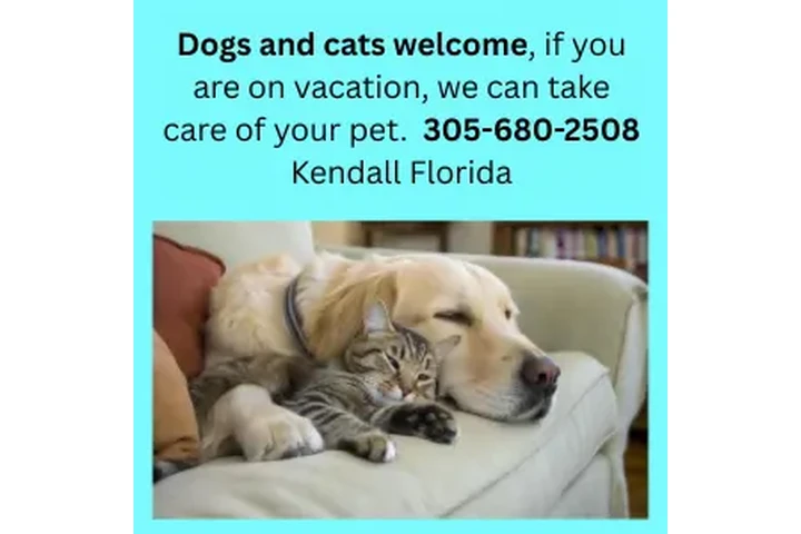 $20 : dog care-cat at Kendall, FL image 2