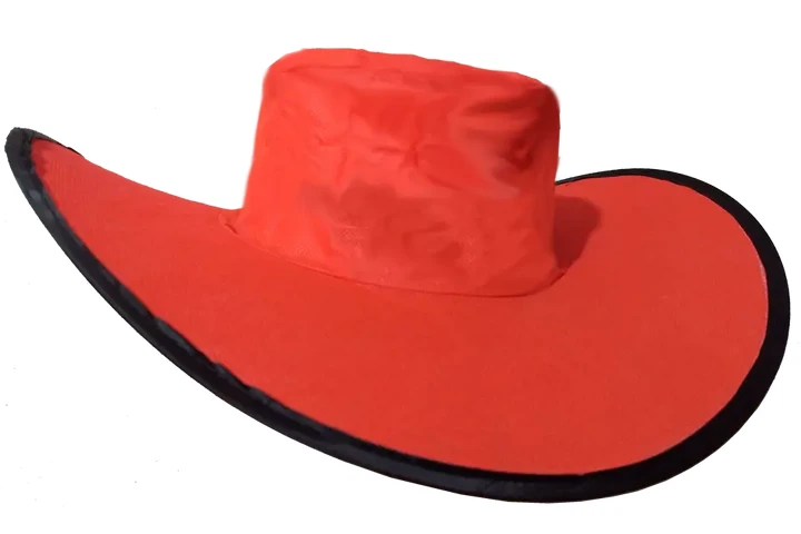 $1 : SOMBREROS PLEGABLES IMPRESOS image 4