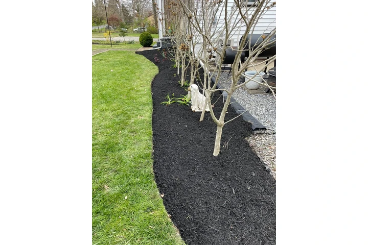 🌳HIDALGO LANDSCAPING SERVICES image 8