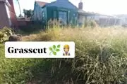 Grasscut 🌿👷🏻🏡 $35 thumbnail