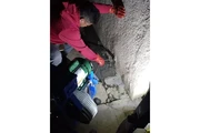 Servicio 24/7 plomeria en Los Angeles