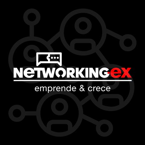 NETWORKING EX image 1