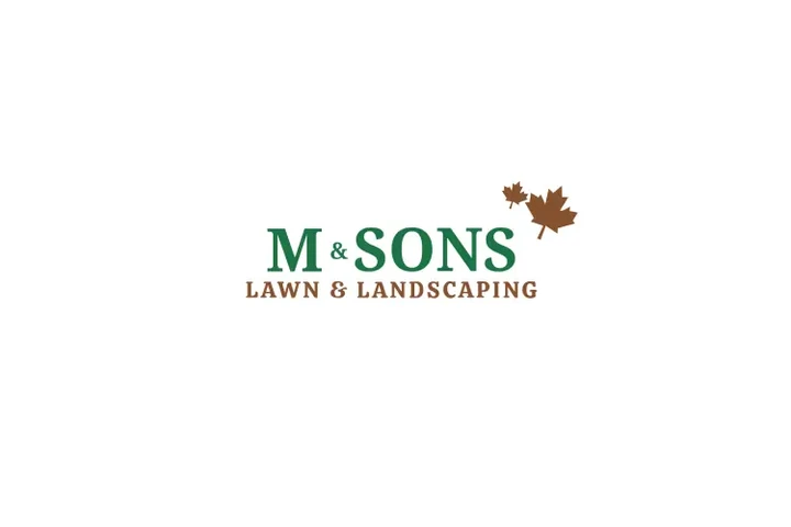 M & Sons Lawn And Landscaping image 1
