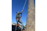 Tree Service and Maintenance thumbnail