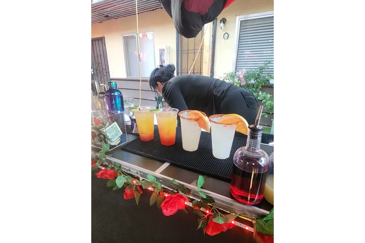 MOBILE BARTENDER☺️🍸🍒 image 4