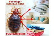👉LLÁMANOS Y LAS ELIMINAMOS thumbnail