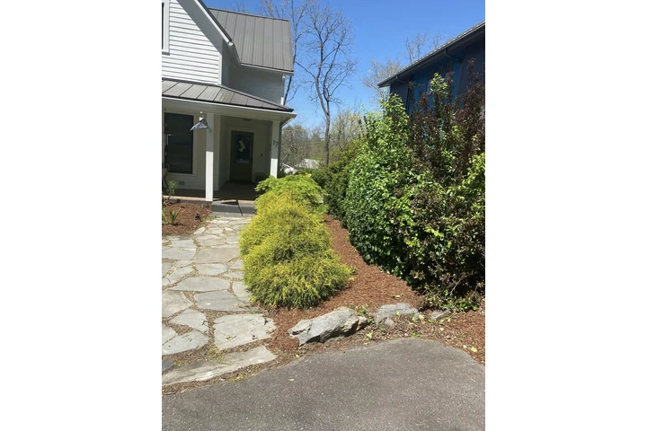 Professional Landscaping image 6