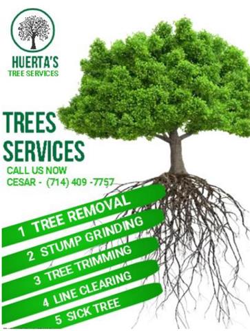 HUERTA’S TREE SERVICE image 1