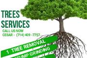 HUERTA’S TREE SERVICE en Orange County