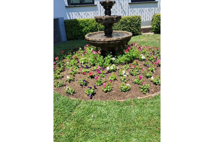 Gardening California image 9