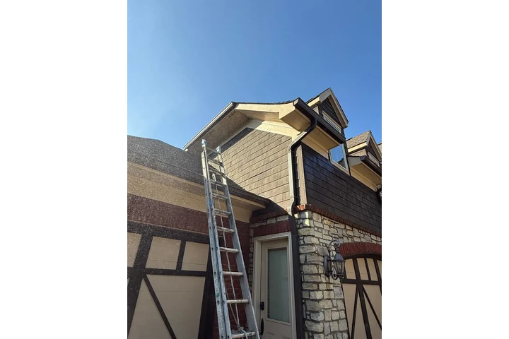 Professional Painting Services image 10