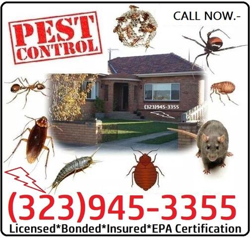 Pest Control Orange County image 9