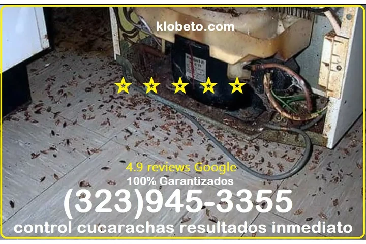 Urgent Pest Control - Same-Day image 9