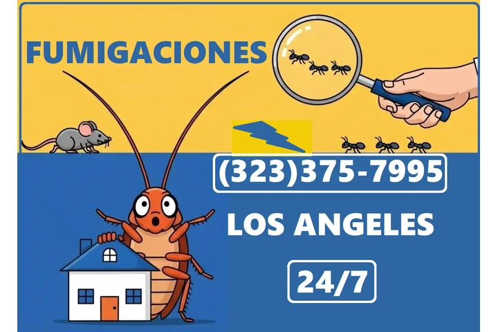 Fumigaciones 100% Garantizados image 1