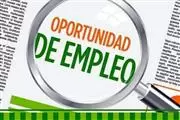 Trabajo en marketing