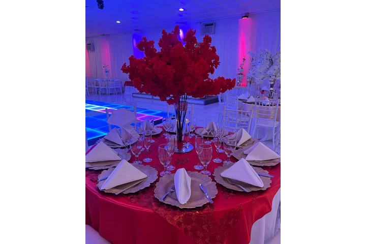 Salon para fiestas image 6