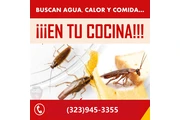👉LLÁMANOS Y LAS ELIMINAMOS en Los Angeles