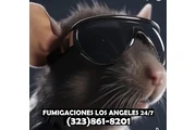 FUMIGACIONES GARANTIZADAS.24/7 en Los Angeles