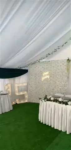 Carpascondraping backdrops image 2