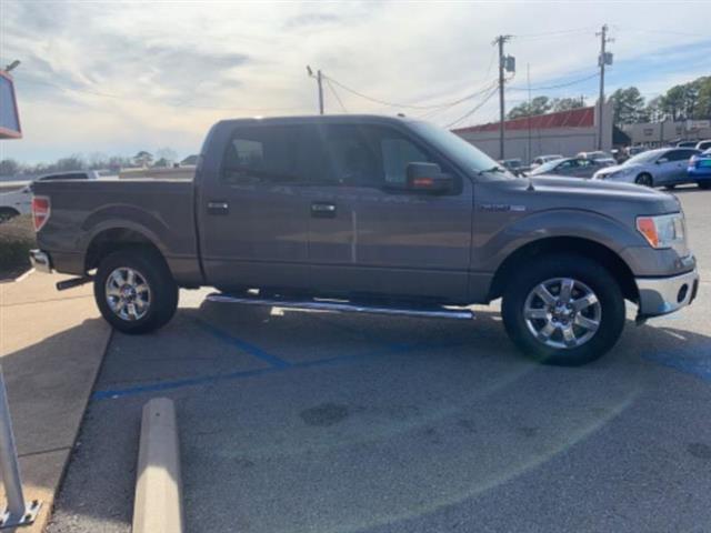 2013 F150 image 4