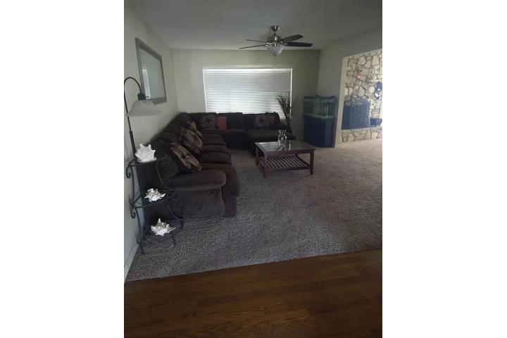 $750 : Private room for rent image 6
