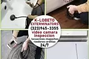 FUMIGADORES-EXTERMINADORES-24H en Riverside