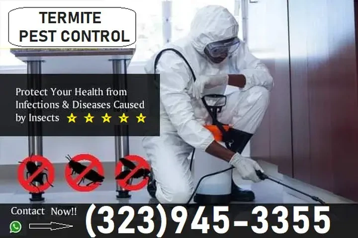 24-Hour Pest Control Services image 1