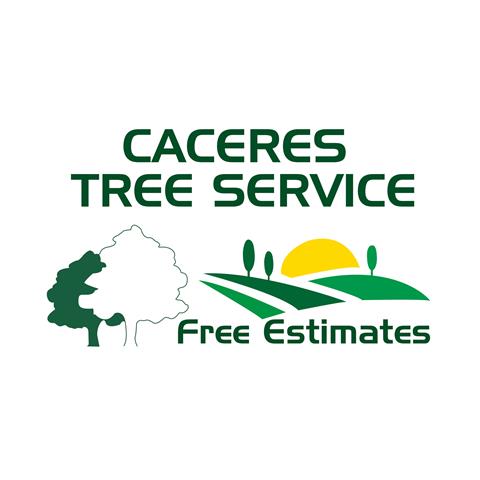 Caceres Tree Service image 2