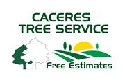 Caceres Tree Service thumbnail 2