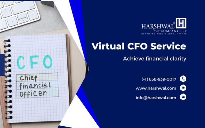 Financial Success VCFO image 1
