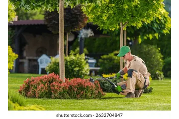 Oferta de contrato. image 2