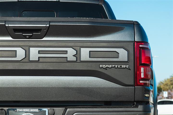 2019 F-150 Raptor image 7