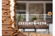 TERMITE CONTROL NEAR ME 24/7.- thumbnail