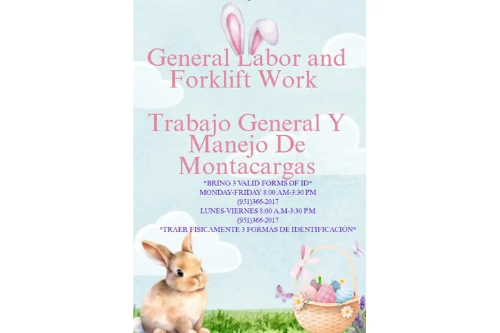 TRABAJO GENERAL Y MONTACARGAS image 3