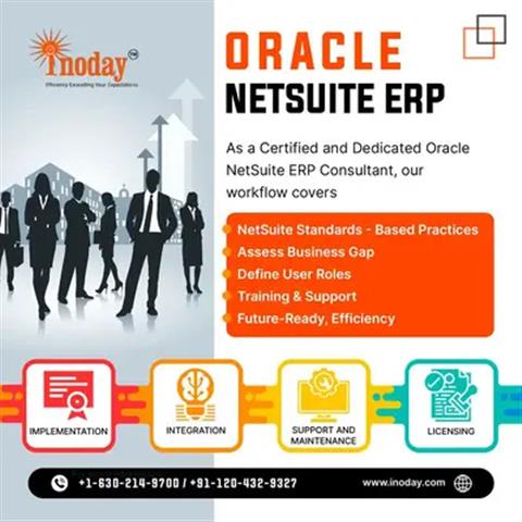 NetSuite ERP Services image 1