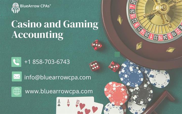 Casino and Gaming Accounting image 1