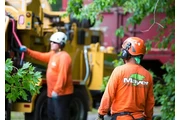 Tree service Cambridge, MA en Boston