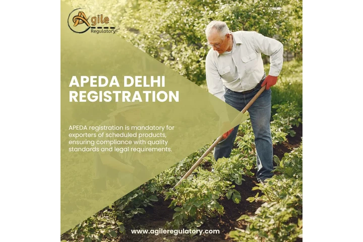 Expert NGO Registration image 1