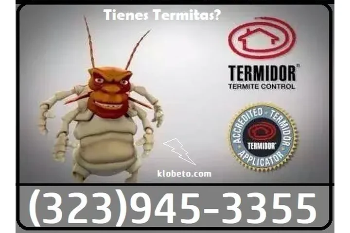 PEST CONTROL SERVICES⭐⭐⭐⭐⭐L.A. image 10