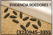 FUMIGACION RATONES REPARACION thumbnail